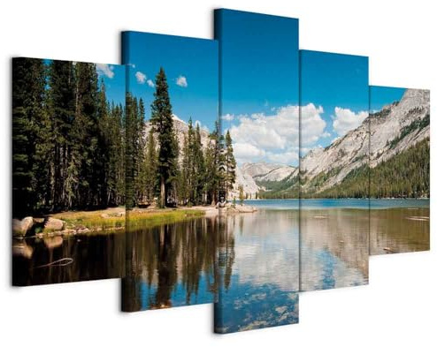 B&D XXL - Akustikbild Akustikplatten Natur Berge, 100x50 cm, 5-teilig, Büro
