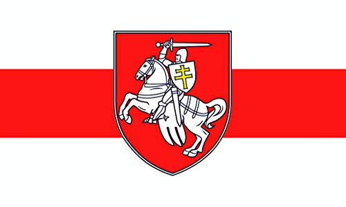 Flaggenfritze Bandiera ROMANIA con Stemma – 90 x 150 cm
