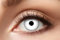 Zoelibat Eyecatcher 84063141-596 - Farbige Kontaktlinsen, 1 Paar, für 12 Monate, weiß, Halloween, Karneval, Fasching