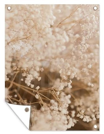 MuchoWow Poster exterieur Herbe de la pampa - Plante - Nature Decoration murale 60x80 cm Résistant aux intempéries/soleil