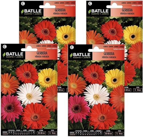 Semillas de gerbera variada de Semillas Batlle PACK (4)