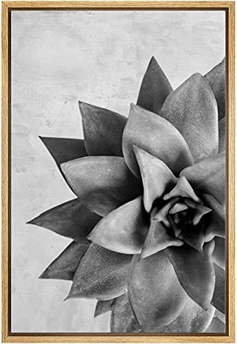 Woodrose Framed Canvas Print Wall Art Grayscale Lipstick Echeveria Succulent Floral Plants Photography Realism Southwest CloseUp Black and White for Living Room, Bedroom, Office - 24x36 NATURAL
