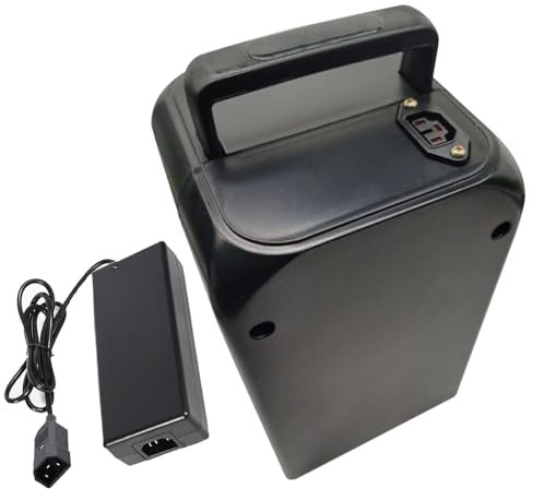 ZXLLAFT Batterie au Lithium 48V 20Ah 12Ah 15Ah 30Ah 25Ah Batterie Lithium-ION 48V Batterie Remplacement 48V Batterie Li-ION avec Chargeur et poignée pour Moteur 250W - 1500W,48v20ah