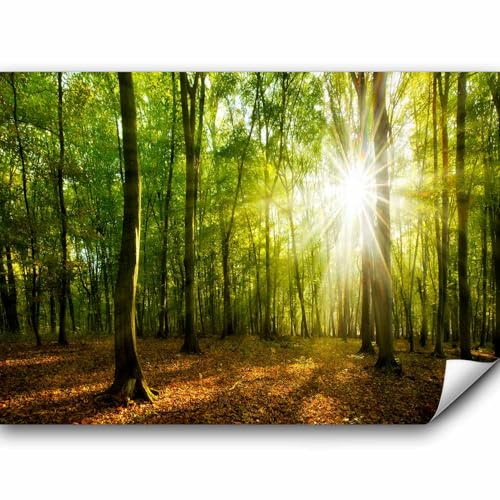 murando - Fototapete Vlies Wald, 300x210 cm, Schlafzimmer, Wohnzimmer | Full HD Druck, 3D-Effekt, lichtbeständige Farben, ideal fürs Wohn- oder Schlafzimmer, schnelle Montage, lichtbeständig, edel