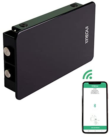 ARREGUI Kamo CI20N Cerradura de Seguridad Invisible para Puerta con Control por Smartphone | Antirrobo | Anti Okupas | Cerradura Electrónica para Puerta con Bluetooth | Cerrojo Interior | Negro