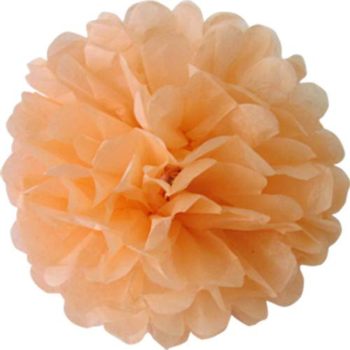 Creativery 10 Papier Pompons 25cm Set (apricot 714) // Pompoms Bommel Kugel Seidenpapier Pom Pom Deko Hängedeko Raumdeko Blumen