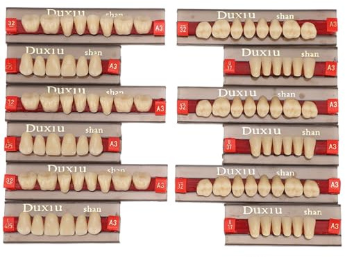 12 Uds. Dentadura postiza de resina, 84 Completos de Material Dental tonos A3, dentadura postiza de resina sintética para reemplazo DIY, Halloween Suministros para dentistas