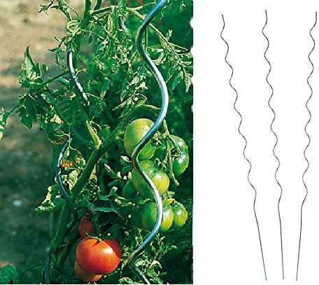 Benelando Tomaten-Spiralstab 180cm Stahl verzinkt - 2. Wahl (50)