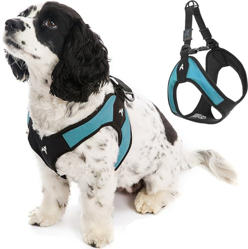 Gooby Escape Free Easy Fit Dog Harness, Step-in, Turquoise, Large