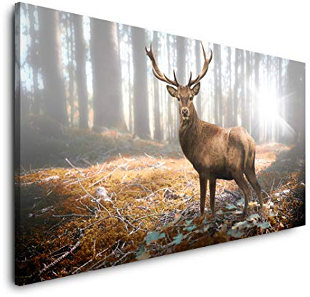 Rehbock im Wald 120x 60cm Panorama Leinwand Bild XXL Format Wandbilder Wohnzimmer Wohnung Deko Kunstdrucke