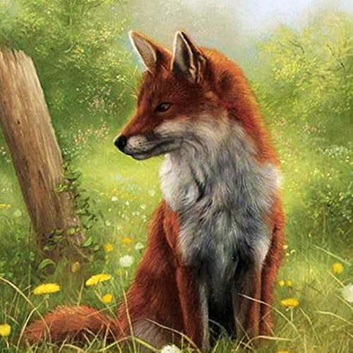 WYDMA 5000 Bunte Puzzleteile Fuchs UnmöGliche Puzzles, Bunte Puzzles, Geschicklichkeitsspiele FüR Die Ganze Familie Fertige Größe 156.5×105.5cm