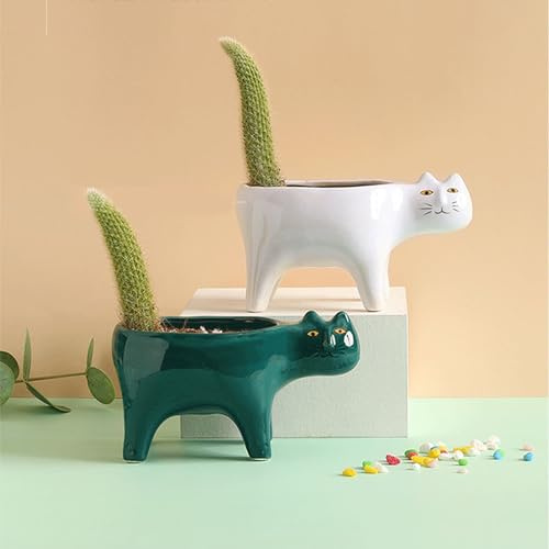 Xfeyaqlo Sukkulenten Töpfe, Mini Blumentopf Katze, kleine blumentöpfe Keramik, Dekoration des Hausgartens Oder des Büros, 2 Stück