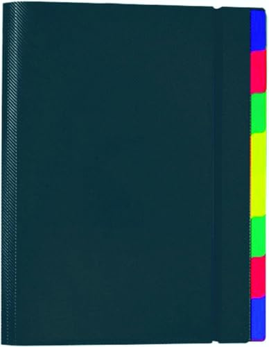Foldersys Ordnungsmappe A4 PP 8 Fächer schwarz