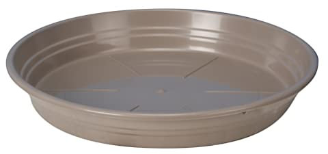 Soucoupe Ronde, 40 Diamètre, Taupe