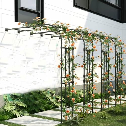 Rosenbogen Halbbogen,Wetterfest Gartenbogen Gartenlaube,Für Kletterpflanzen Außenbereich Wandmontage Halbrund Torbogen,Rankhilfe Stabiles Rankbogen Rosen Bogen Für Kletterpflanzen ( Color : Schwarz ,