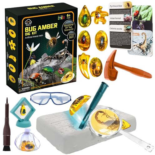 SilverChry Ambra Fossili Scavare-Bambini, Insect Minerali da Collezione, Kit Insetti AmbraBambini, Regalo Ragazzo 6 Anni Maschio, Set di Scavo di AmbraBambini, Insect Minerali Bambini