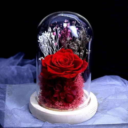 ZJYIGOWL Bouquet di Rose in Campana di Vetro con Luce LED Rosa Realizzata A Mano Che Dura Anni, Regali Floreali di Compleanno per Donne, Mamma, Moglie, Festa della Mamma, Anniversario(Red)