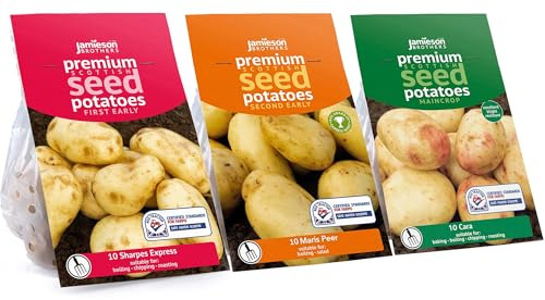 Jamieson Brothers Premium Scottish Seed Potatoes Bundle, First Early Sharpes Express, Second Early Maris Peer, Maincrop Cara, 10 Seeds Potatoes Each
