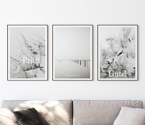 timalo SALT-AND-LIGHT® Christliche Wandbilder Bibelverse Deutsch Poster 3 Stück im 3er Set Wanddeko Wohnzimmer Deko Schlafzimmer | Jahreslosung 2025 | 70x50cm