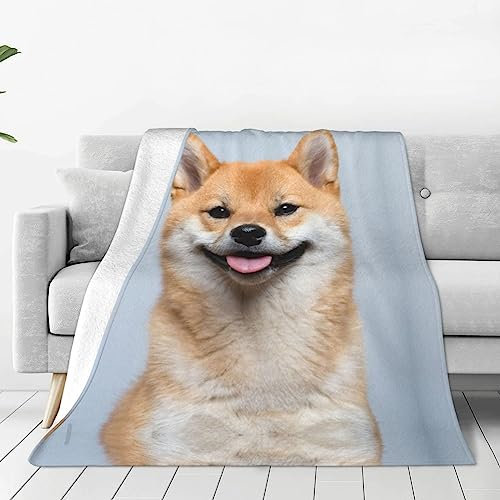 Hunde-Waschlappen-Decke, superweicher Bezug für Sofa, Bett, Reisen, Zimmer, warm, alle Jahreszeiten, 203 x 152 x 101 cm