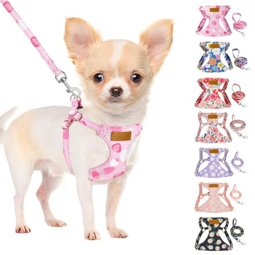 SlowTon Hundegeschirr mit Leine, No-Pull leichtes weiches Wildleder-Welpengeschirr mit Blumenmuster und Schnappschnalle, verstellbares Geschirr Hund für kleine und mittelgroße Hunde