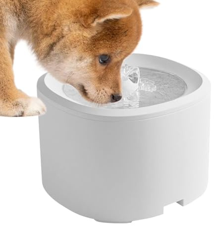 Fuentes para para beber, bebedero automático para gatitos de 3 litros | Dispensador de agua filtrada silenciosa alimentado por USB para interiores, múltiples mascotas, hogar, cachorros,