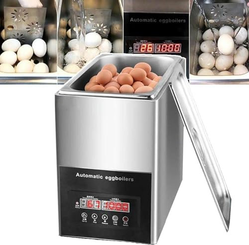 QUSYZD Hervidor de Huevos eléctrico, hervidor de Huevos de 800 W con Fuente Termal, máquina rápida para Hacer Huevos y escalfar, Comercial, automático Inteligente de Gran Capacidad de 9 l.,