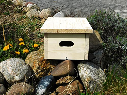 Nistkasten Mauersegler fertig montiert Manufaktur Martinshof H: 15,50 cm B: 24,00 cm T: 34,50 cm Durchmesser Einflug-Loch: 3,00 cm x 6,50 cm Langhöhle, Vogelhaus, Vögel, Vogelschutz
