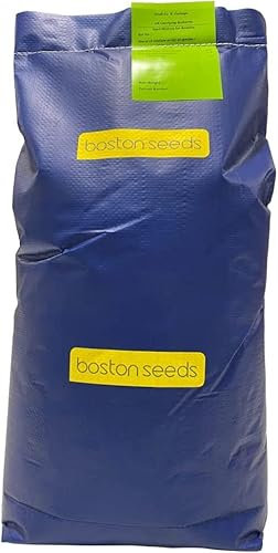 BS Caravan Park Grass Seed (1 x 10kg)