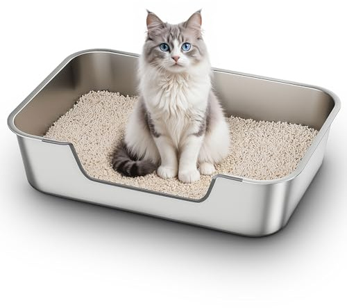 Lettiera Acciaio Inox per Gatti, Lettiera Gatto con Bordi Bassi, Toilette Aperta per Gatti Anziani o Feriti, Lettiere Grande per Gatto XXL, Facile da Pulire, Antiodore e Spaziosa, 60x40x15cm