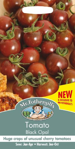 Mr Fothergill's Tomato Black Opal