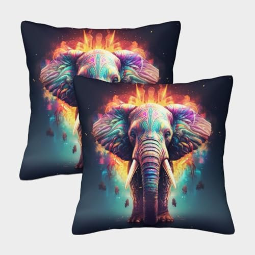 NNAWFJXG Elefant 2er Set Kissen Bezug Kissenbezug Kuschelkissen für Sofa Bett Garten Balkon kinderzimmer 50x50cm