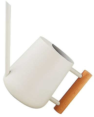 TOYANDONA Arrosoir D'intérieur à Long Bec 900 ML Blanc pour Plantes Et Fleurs, Petit Arrosoir en Acier Inoxydable, Arrosage Précis Balcon Et Maison, Design Solide Et Pratique