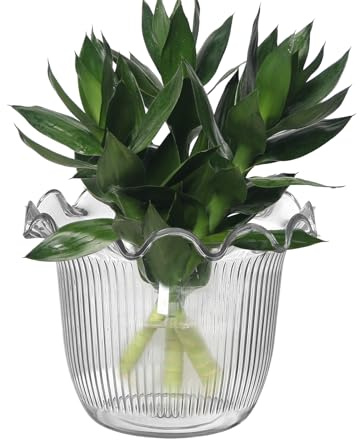 Jarrón de Flores Transparente, Florero para Plantas Acuáticas, Contenedor para Plantas y Agua para Hotel Salón Biblioteca Bodas Eventos Centro Mesa Balcón