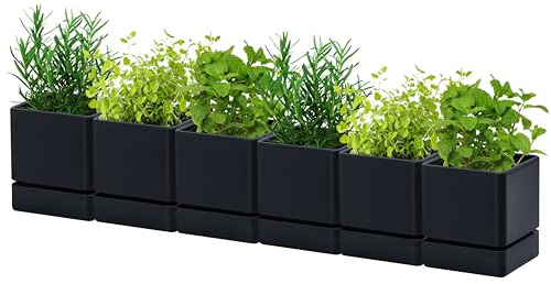 D'vine Dev 76-Y-B6-1 Kräutertöpfe aus Kunststoff, 10 cm, Schwarz, 6er-Pack