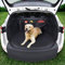 Kofferraumschutz Hund mit Seitenschutz - Innovative Organizer Funktion - Universal Auto Kofferraum Hundedecke - Robuste Schutzmatte für Hunde (192 x 105 x 36)