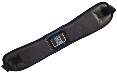 Generisch Steirische Harmonika Akkordeon Hüftgurt Tragesystem Alcantara Dunkelbraun – Ergonomischer Hüftgurt für Harmonika & Akkordeon – Verstellbar, bequem, stabil, hochwertiges Alcantara-Material