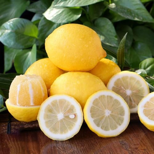 semillas de limonero semillas de exóticas resistentes, resistentes al invierno para jardín, jardín, jardin decoración 65pcs