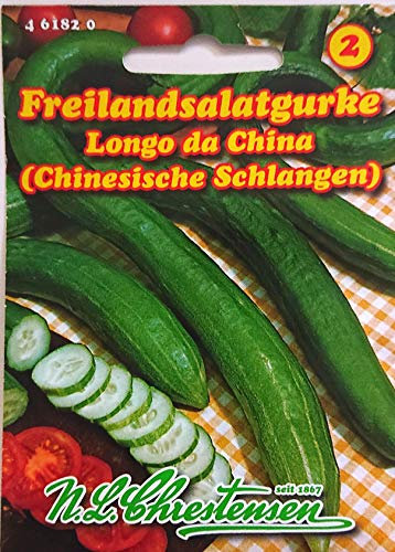Freilandsalatgurke Chinesische Schlangen (Portion)