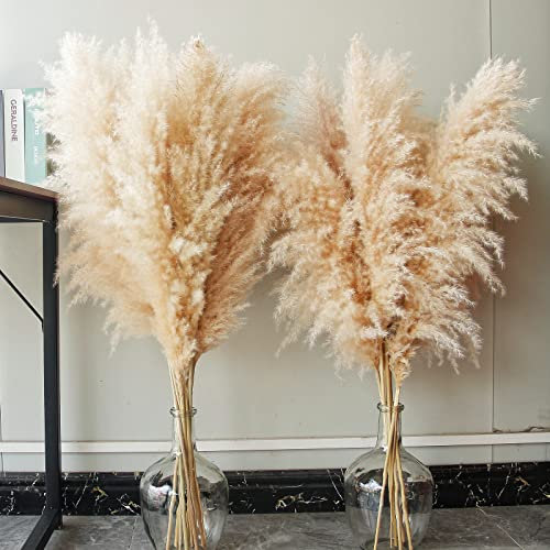10 Pampas Grass XXL, Deko Gross für Boho DekoWohnzimmer Tisch Schlafzimmer Hochzeits Badezimmer (100cm)