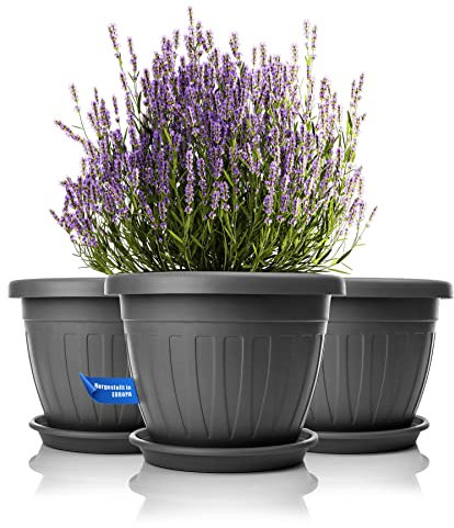 BigDean 3X Blumentopf mit Untersetzer rund ø40xH31 cm anthrazit - wetterfester Pflanzkübel - Wasserablauf UV-beständig aus bruchsicherem Kunststoff - Innen + Außen geeignet - Made in Europe