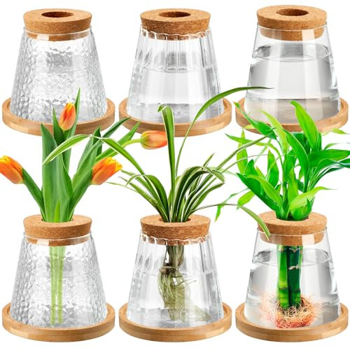Beeveer Terrario separato per piante con coperchio e supporto in legno, 3 misure, vasi di propagazione per interni e casa (stile carino)