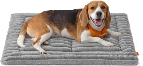Feandrea Coperta per Cani, L, 90 x 65 cm, Coperta per Animali Domestici, Utilizzabile da Entrambi Lati, Copridivano per Cani e Gatti Lavabile in Lavatrice, Grigio Tortora PPB043GD01