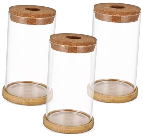 VALICLUD Glass Hydroponic Vase for Indoor Plants Plant Propagation Set Lid Desktop Terrarium