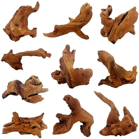 GDMYST 10 Pcs Natural Small Driftwood for Aquarium, Aquarium Driftwood Freshwater 2-4 Inch, Assorted Size Mopani Wood, Twisted Branches for Fishtank Accessories, Reptile Terrariums Decorations