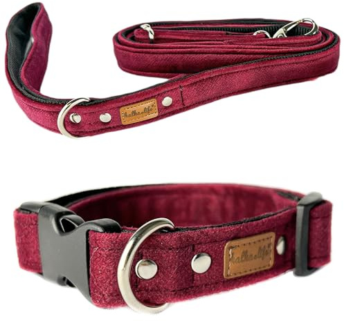 Hundehalsband mit Leine – Set für kleine und große Hunde, strapazierfähig, bequem und verstellbar, mit Metallschnalle (Kirsche, L (Kunststoffschnalle))