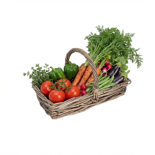Wicker Fruit Basket Veg Trug Rectangular Gardening Allotment Trugs for Garden Countertop Fruit Vegetable Egg Basket Storage with Carrying Handle Spring Gardening Gift (Small)