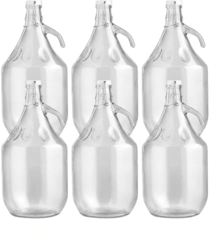 lilawelt24 6 x 5L Glasballon (Gallone) mit Bügelverschluss & Henkel - Glasflasche für Wein, Gärung, Saft, Likör & Einmachen