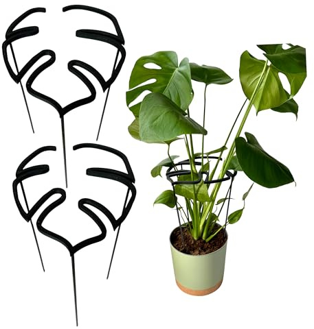 PLANTINITY Rankhilfe Mit Ring Aus PLA Für Monstera, Schwarz, M | Pflanzenstütze Biokunststoff, Einsatz Innen, Mittelgröße, Sanfter Halt Der Triebe, Einfache Montage, Geringes Gewicht