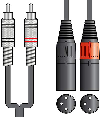 Citronic Classic Audio Leads 2 x RCA Plugs to 2 x XLR Male Shielded Audio Cable for Reliable Sound Connection 6 Metre Black